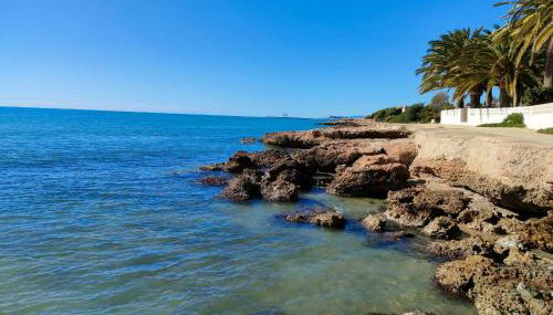 Au petit bonheur - Foto 3