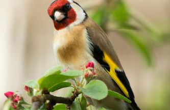 Room with a view - Photo 39