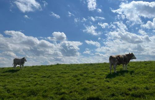 Alfreds Landidyll - Foto 37