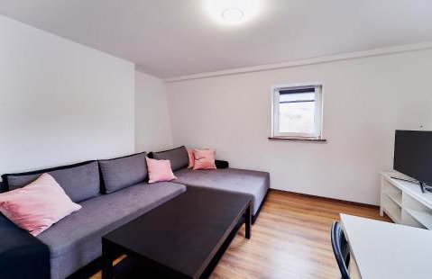 Domki Nad Stawami Apartament - Foto 38