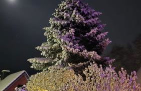 Min lütt hütt - Photo 22