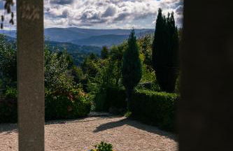 Leiras de Candoz Douro Valley - Foto 31