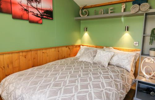 Wild Acre - Photo 12