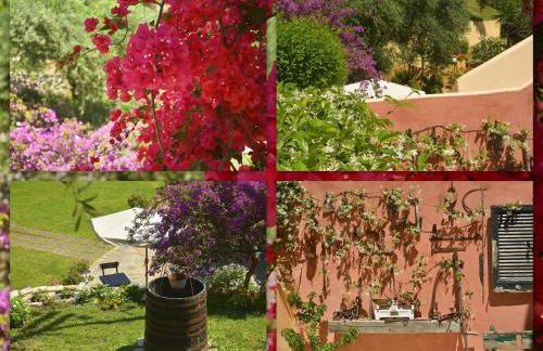 Veroniki Studios & Apartments - Foto 48