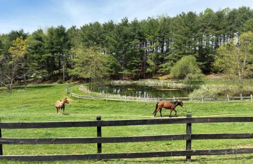 Shenandoah Holiday Chalet Fireplaces & Game Barn - Foto 55