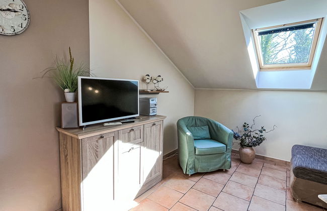 Zaunkönig - Foto 12