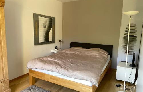 Messe- und Ferienwohnung mit Dachterrasse am Fluss - Foto 11