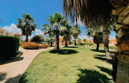 Mika's House Lite - Foto 24