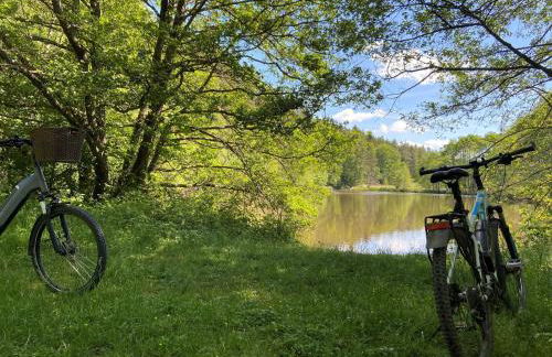 WERTS HOF FerienWohnen - Foto 72