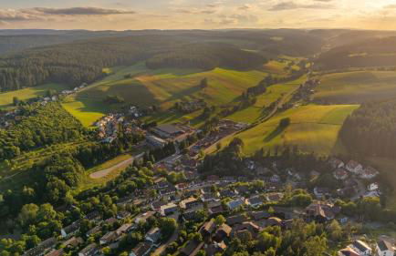 Hapimag Ferienwohnungen Unterkirnach - Foto 74