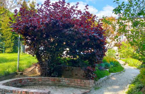 Domek Sandomierz Dwie Chatki - Foto 7