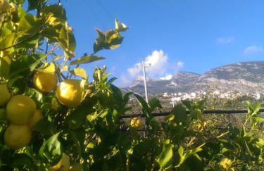 Agriturismo - "La Funicolare" - Photo 21