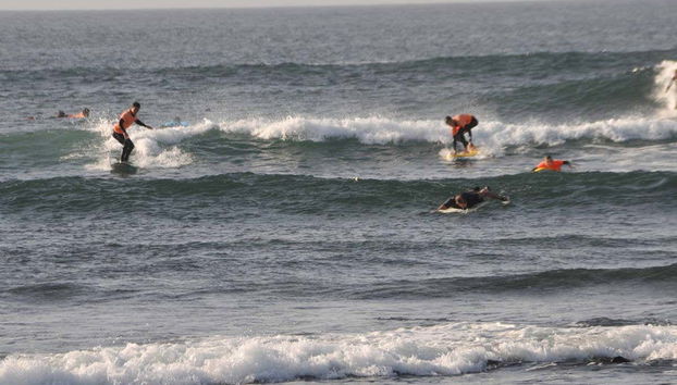 Curso de surf en Fuerteventura