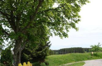 Blick In Den Garten - Foto 21