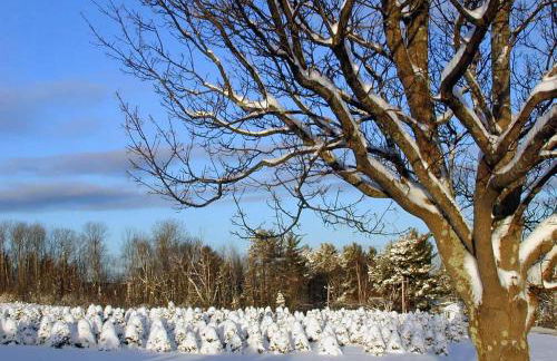 Experience the Rocks Estate like never before with a stay at the Gardeners Cottage! - Foto 31