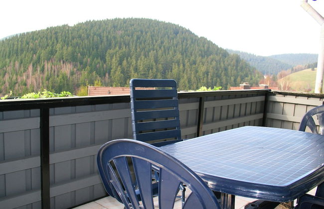 Charming Apartment in Wildemann With Garden - Photo 11