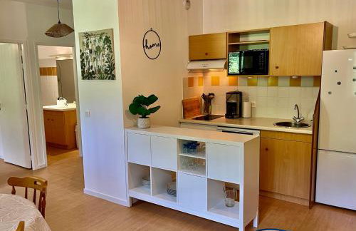 Le Valier, T2 résidence Grand Hôtel - Appt 308 - Aulus-les-bains - Foto 4