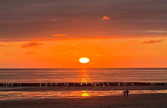 Sunny Zeeland Getaway - Photo 34