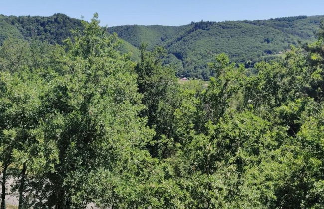 Inviting Holiday Home in Miremont With Garden - Foto 33