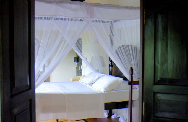 Galle Henna Estate - Foto 8