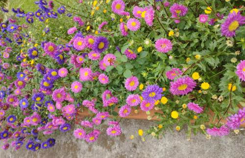 Um quarto da Casa Do Monte - Photo 12