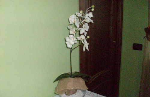 Agriturismo Finestre di Langa - Foto 14