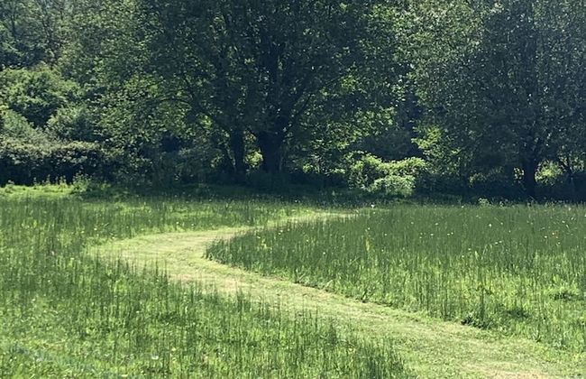 Little Norton Mill - Photo 16