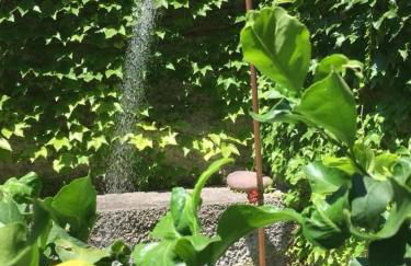 Villa 3 Olivi - Lenno by LoveComo - Foto 8