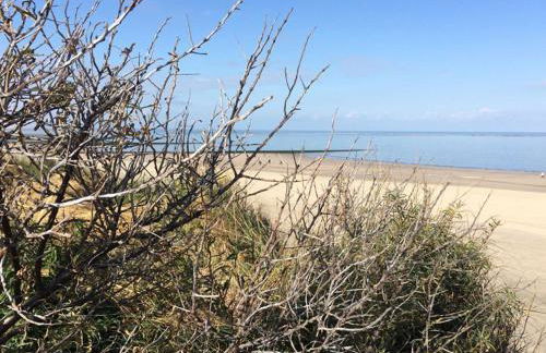 Dandelion Modern Retreat - Foto 27