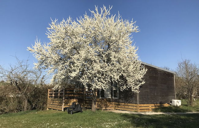 Les Lodges - Foto 24