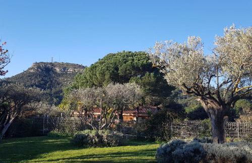 A l'ombre du chêne Piscine & Spa Gîtes Eden en Cévennes à Anduze Gard - Foto 9