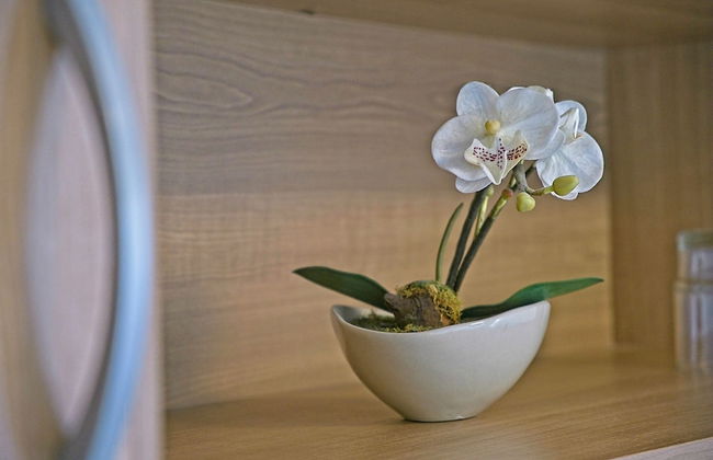 Guest House Matana Pomena - Foto 73