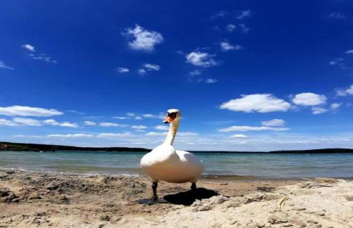 Peaceful Retreat by the Lake - Foto 53