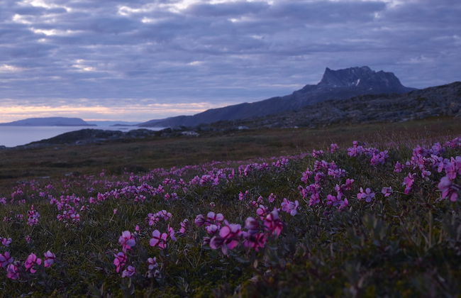 Hotel Nordbo City - Foto 67