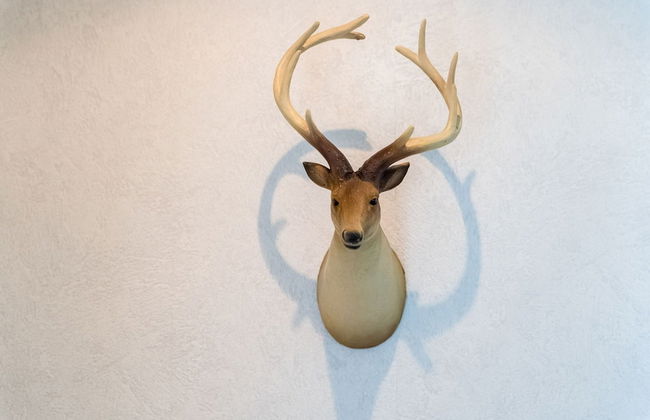 Holiday Home in Garderen by Veluwe - Photo 22