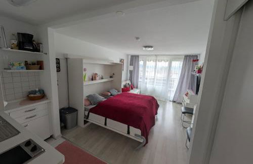 Appartement Allgäu-Sonne mit Sauna - Foto 16