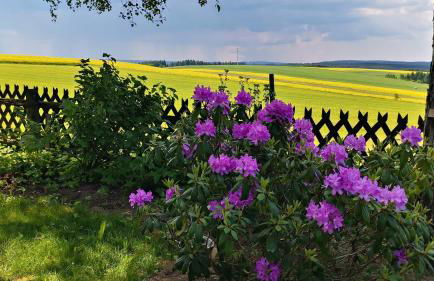 Ferienhaus VILLA ZAUBERBLICK am Rennsteig Frankenwald FREISTEHEND naturnah HUNDEFREUNDLICH eingezäunt - Foto 27