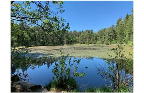 Haus am Kirchberg in Vita Garden - Foto 22