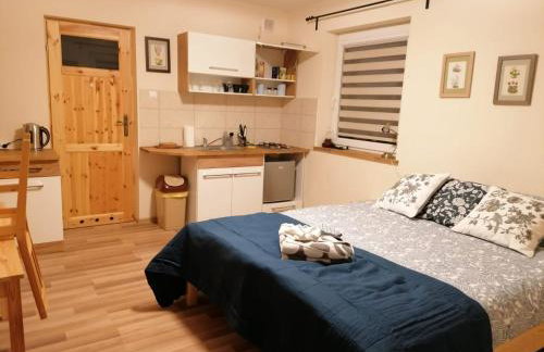 Malowane Domy - Foto 21