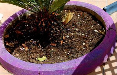 Casa vacanza Viola - Foto 40