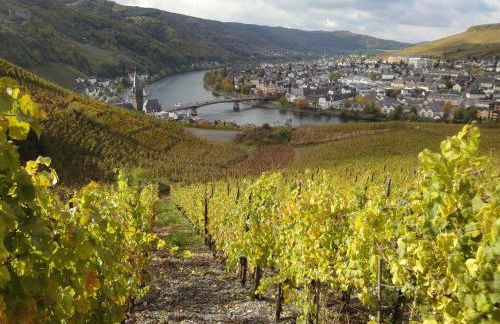 Holiday Home Moselle With Private Sauna - Foto 74