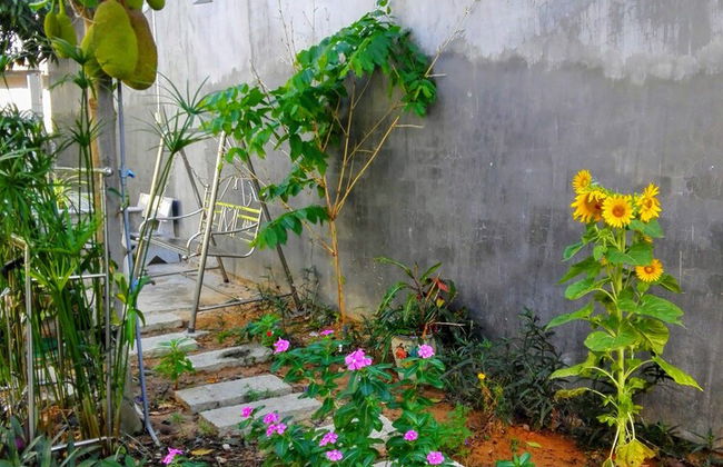 The House 17 1 - Foto 29