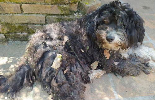 Il mulino che fu la filanda - Foto 6