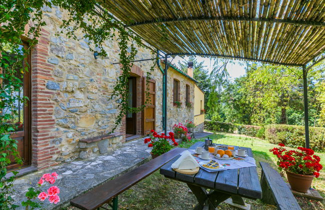 Pino di Sopra - Foto 7