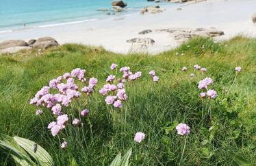 La Maison du Quai Triplex de charme 4 étoiles en hyper centre avec SPA - Foto 33