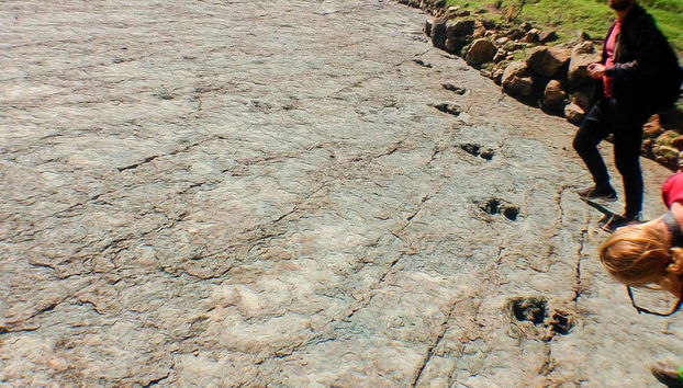 Descubriendo Niñu Mayu