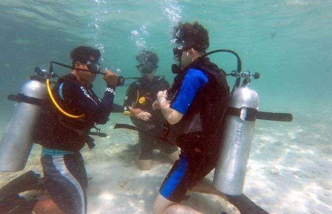 Mergulho em Pattaya - Foto 6