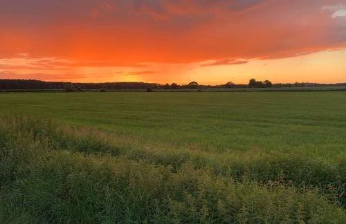 Familienhaus - Foto 28