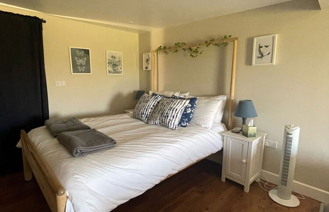 Nest and Nurture - Photo 33