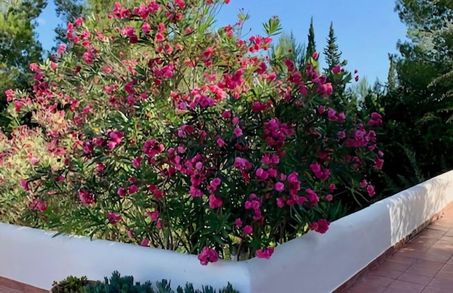 Villa in Ibiza Near Benirras Beach - Foto 31